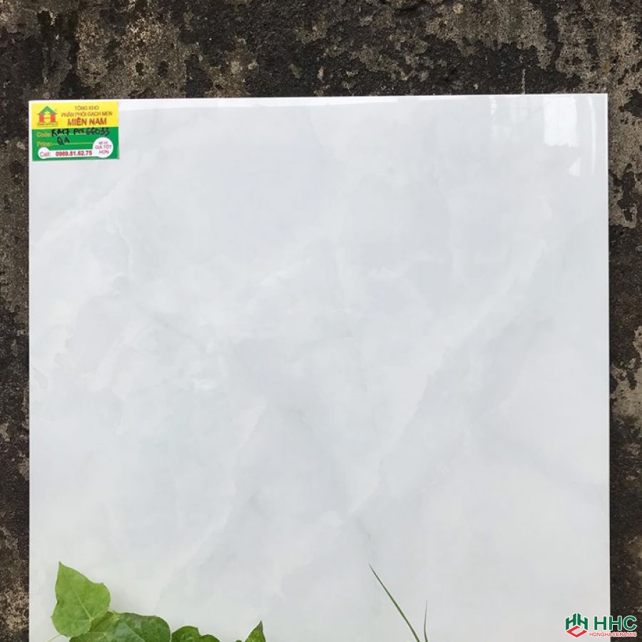 Gạch 60x60 TTC KA17PN66033